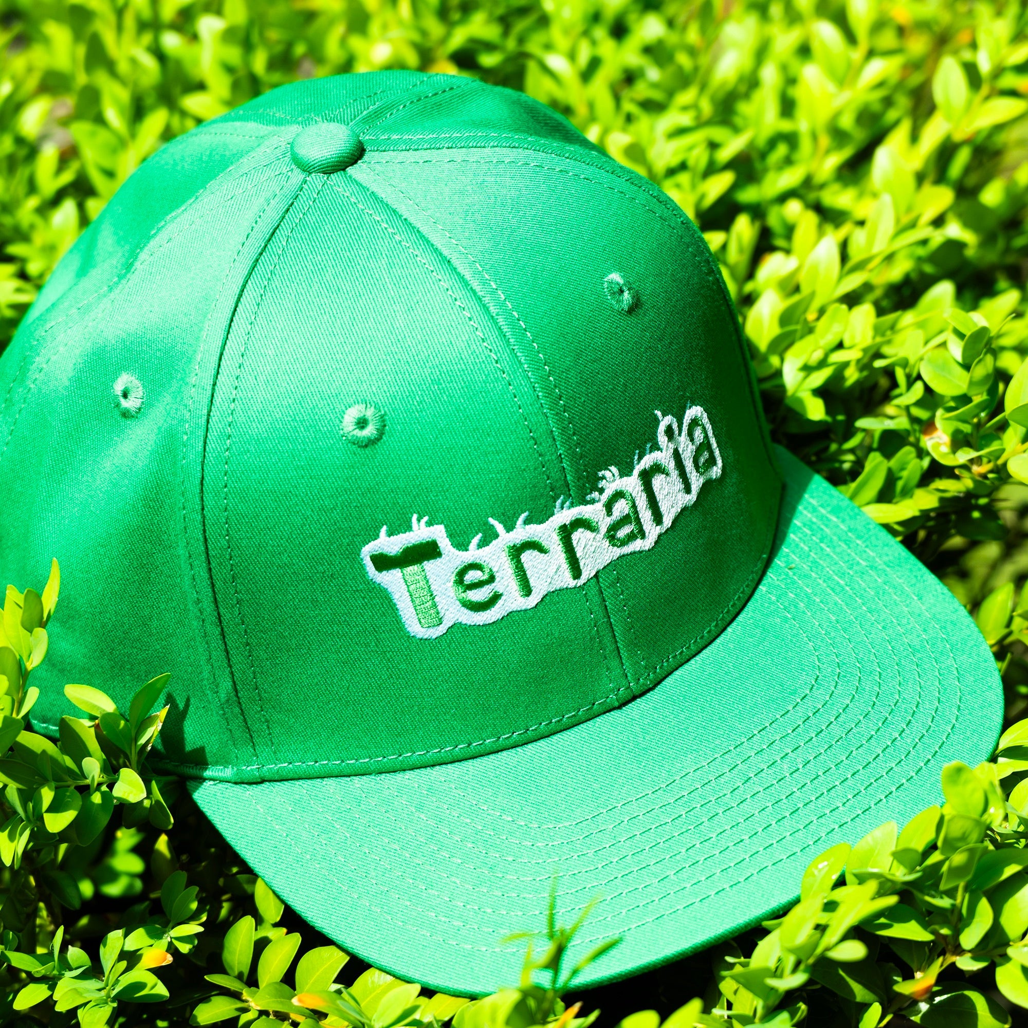 Green Cap    Terraria
